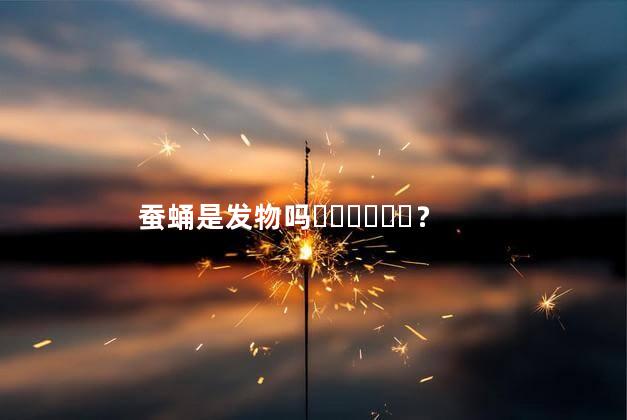 蚕蛹是发物吗？